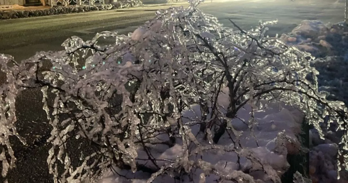 Якою буде погода в Україні у лютому: синоптики дали прогноз