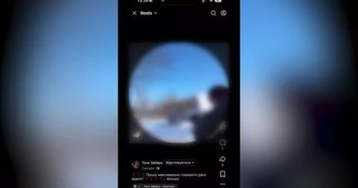 На Житомирщині 16-річна дівчина розстріляла собаку у прямому ефірі заради «контенту»