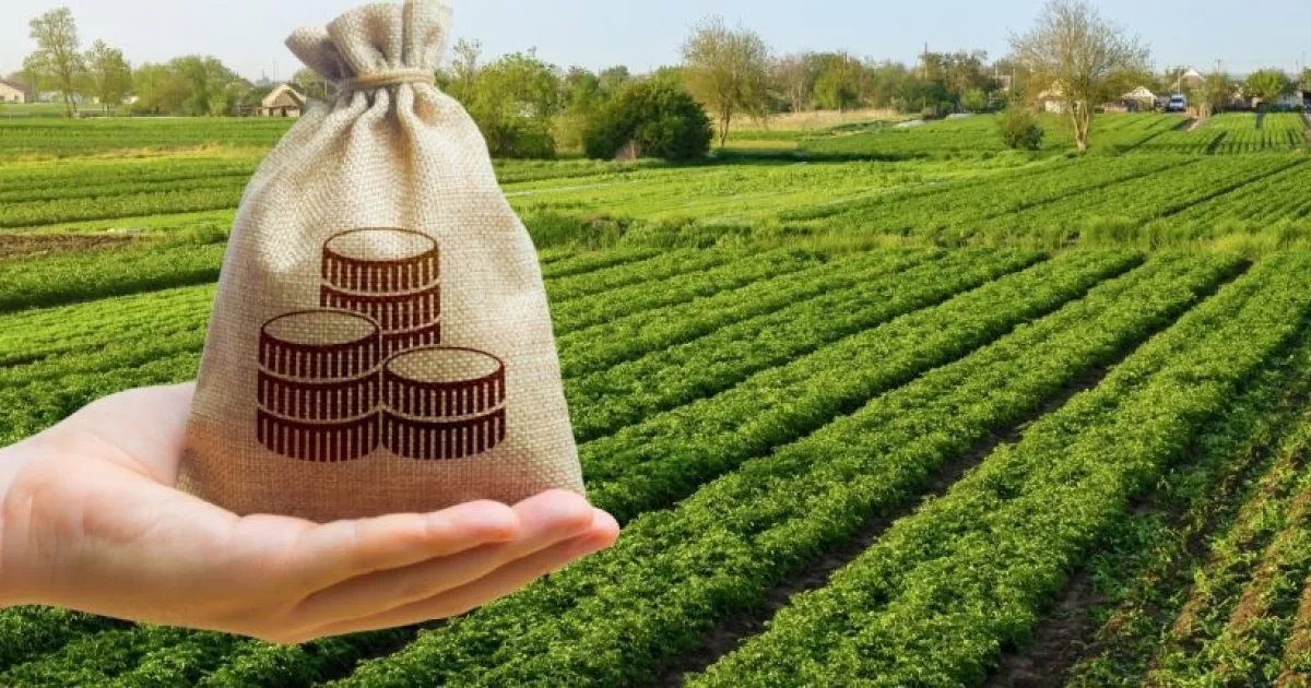 Земельний податок 2026 року: хто з українців не платитиме — прості відповіді