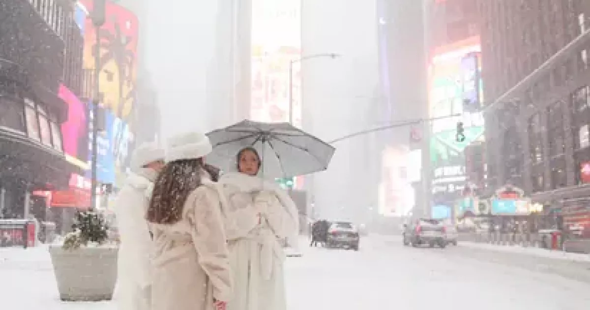 США накрили "дощі з ігуан": що відбувається