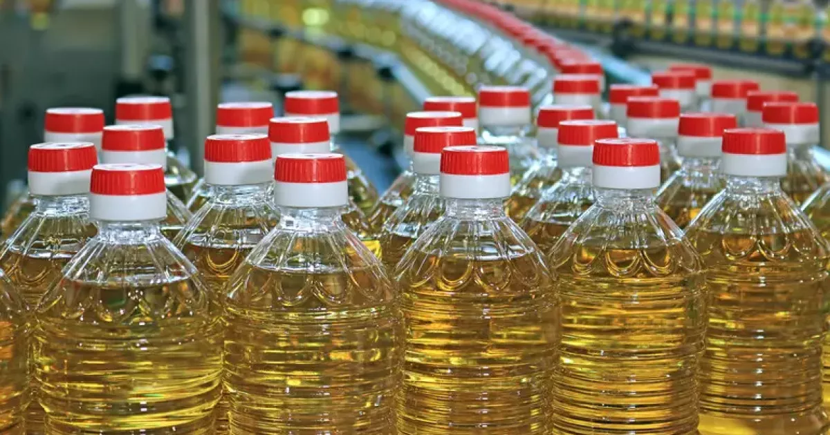 Україна різко скоротила виробництво соняшникової олії: чи вистачить громадянам та які будуть ціни