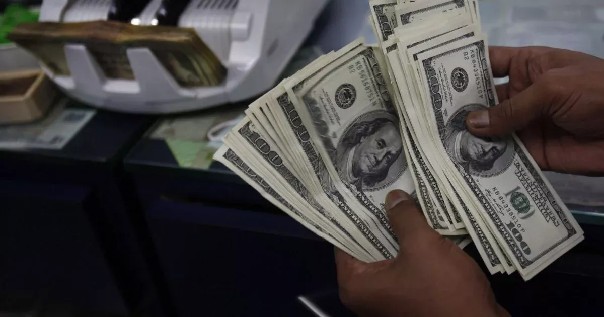 Коли українцям вигідніше купувати долари та євро — поради фінансистів
