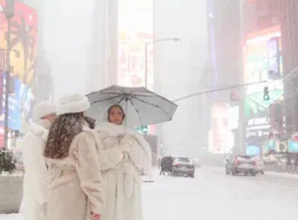 США накрили "дощі з ігуан": що відбувається