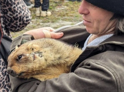 Коли прийде весна: бабак Тимко озвучив несподіваний прогноз