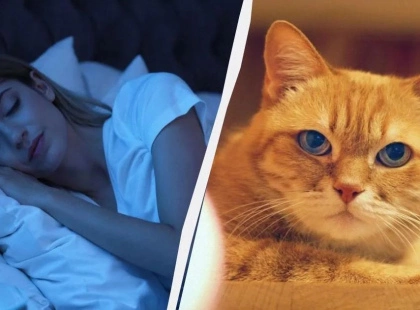 Кіт будить посеред ночі: експерти розповіли, що насправді стоїть за його нявканням