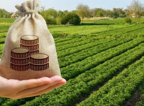 Земельний податок 2026 року: хто з українців не платитиме — прості відповіді