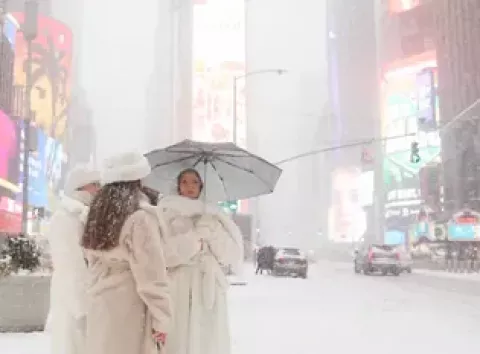 США накрили "дощі з ігуан": що відбувається