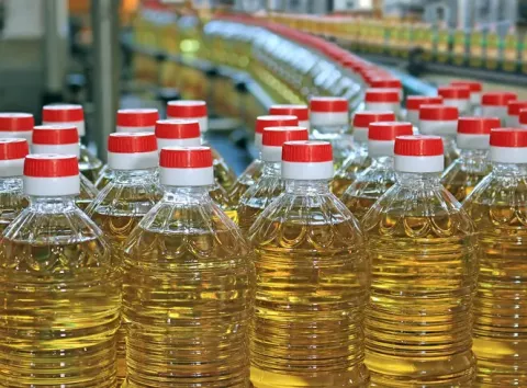 Україна різко скоротила виробництво соняшникової олії: чи вистачить громадянам та які будуть ціни